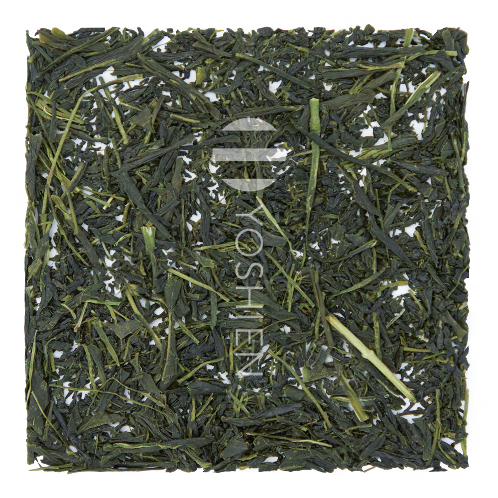 Sencha Takaki Okuhikari from Hoshino, Yame
