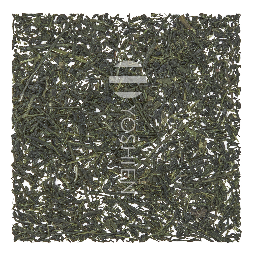 Sencha Takaki Yabukita from Hoshino, Yame