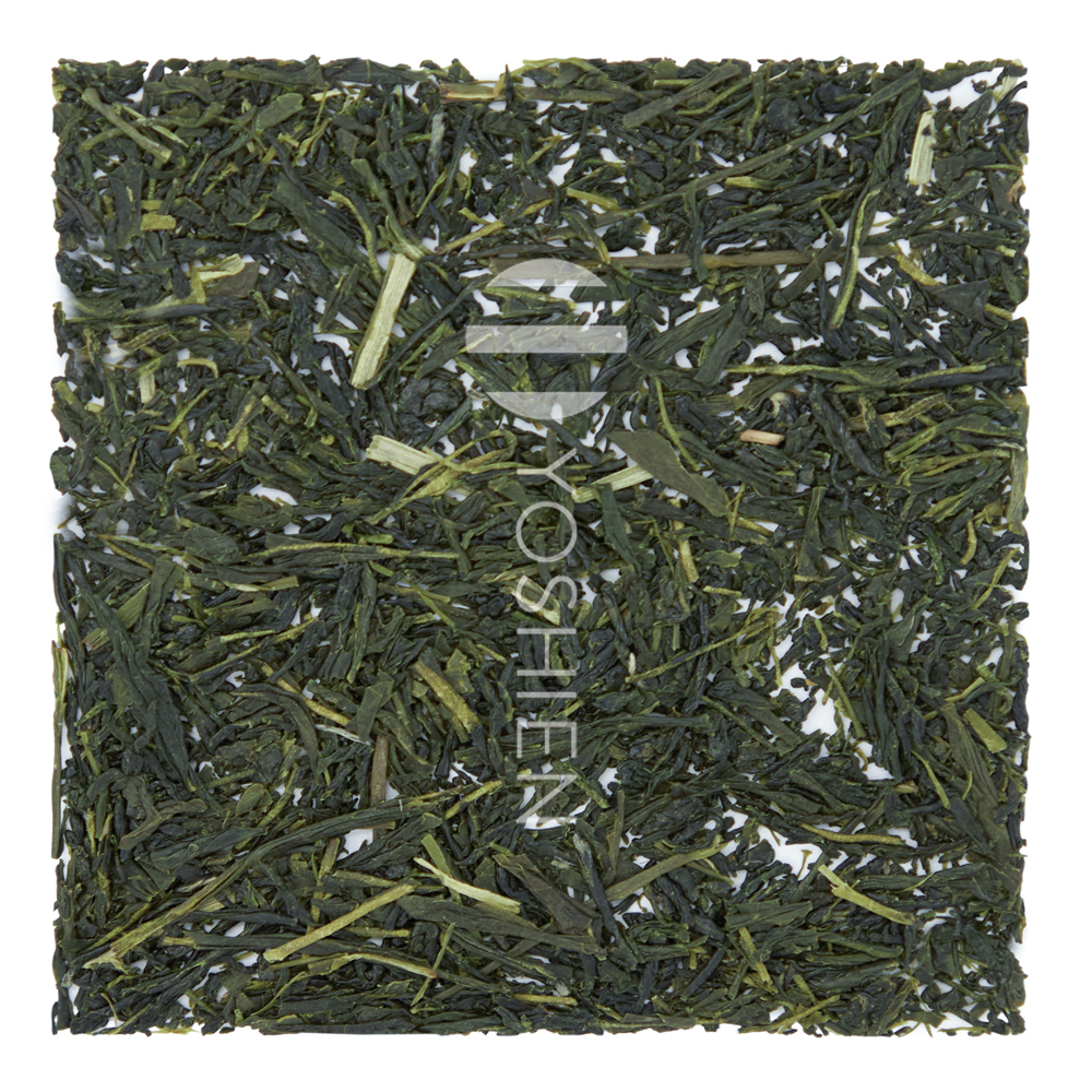 Sencha Takaki Okumidori from Hoshino, Yame