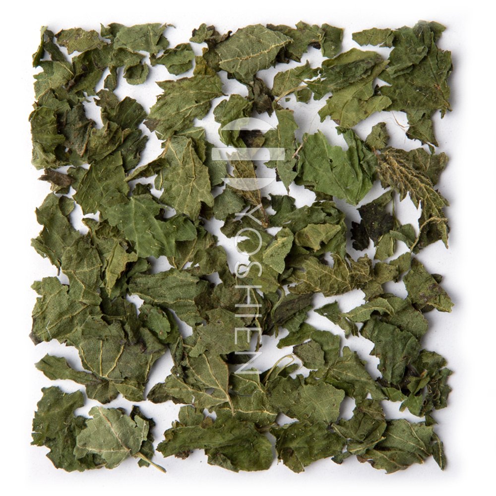 Ortie (feuilles) - tisane bio - 50g