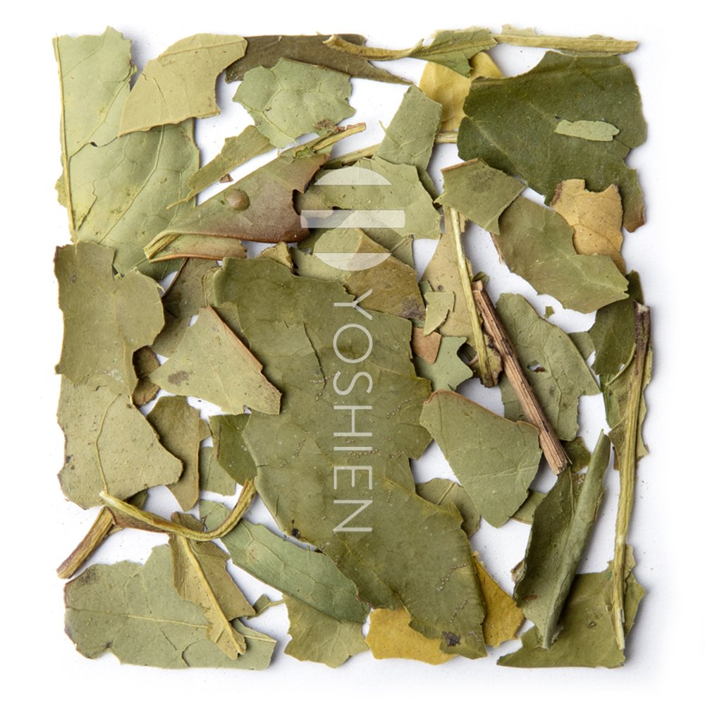 Organic Yerba Mate Green Tea, Triunfo Extra Large Cut, 120g