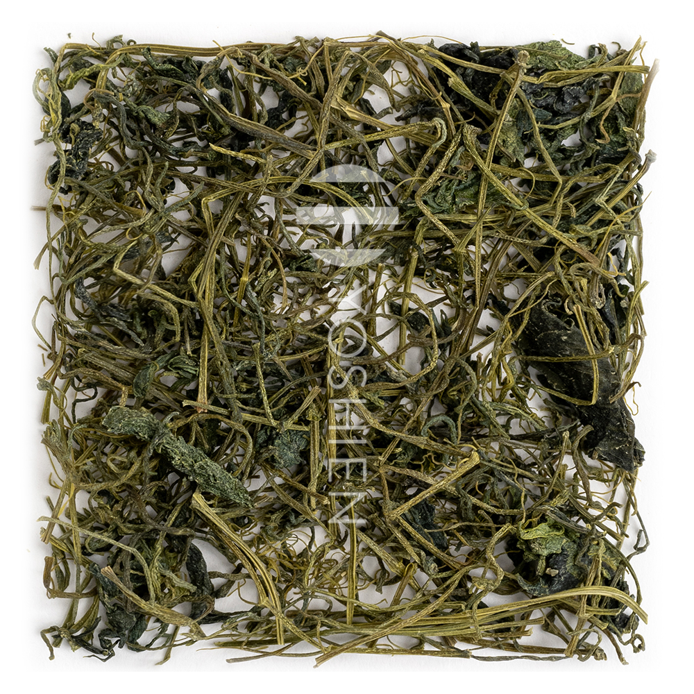 Jiaogulan 5 Leaves Jiaogulan 5 Leaves