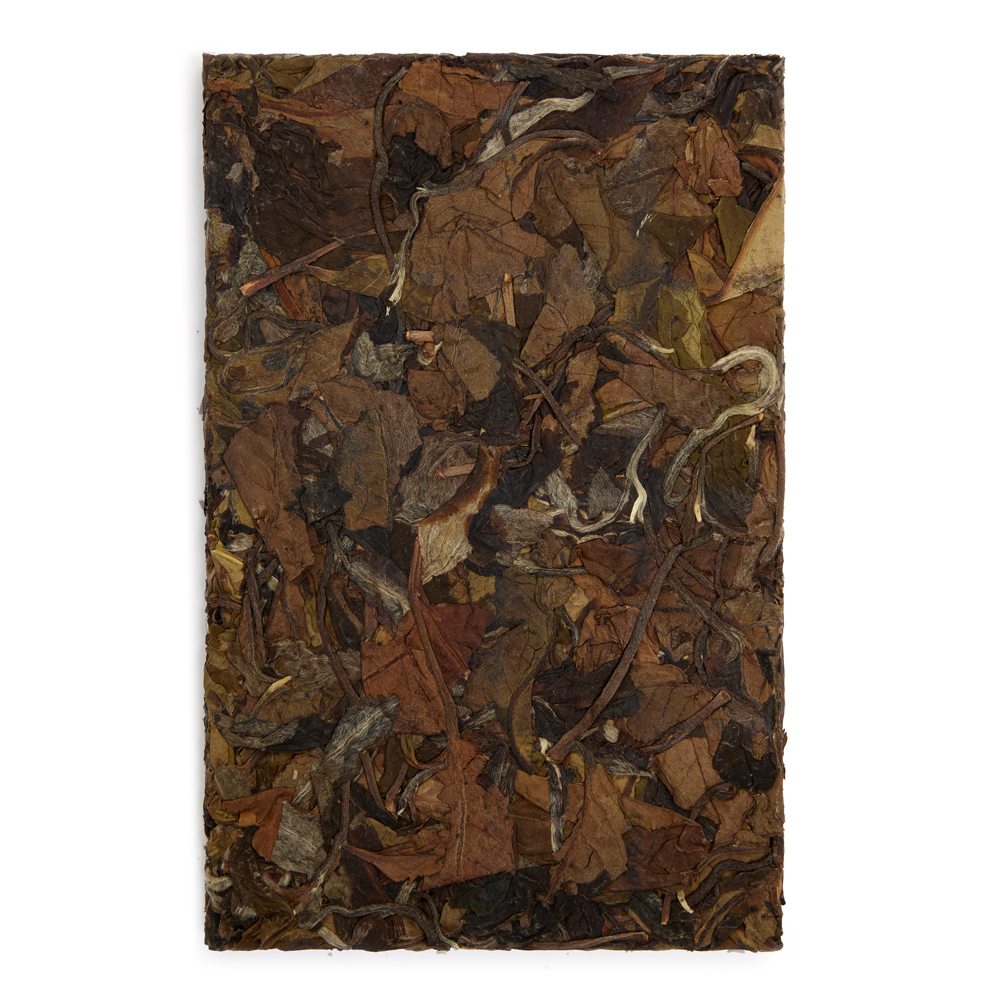 Gushu Bai Mu Dan Tea Bar