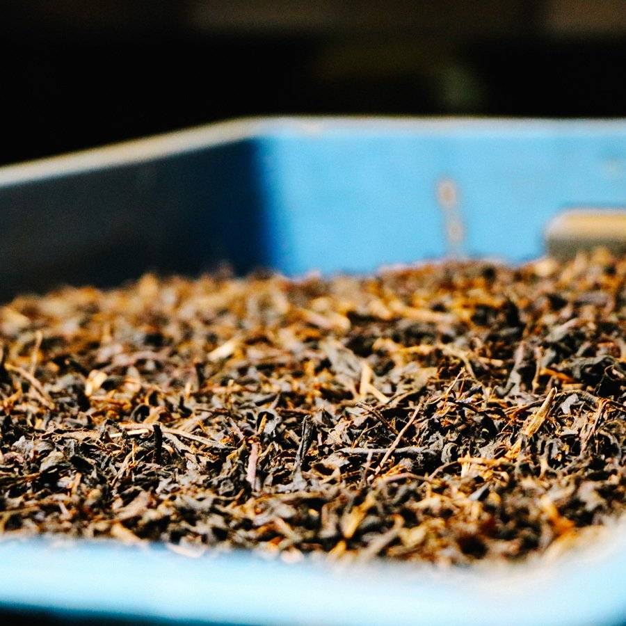 TEMI FIRST FLUSH DARJEELING