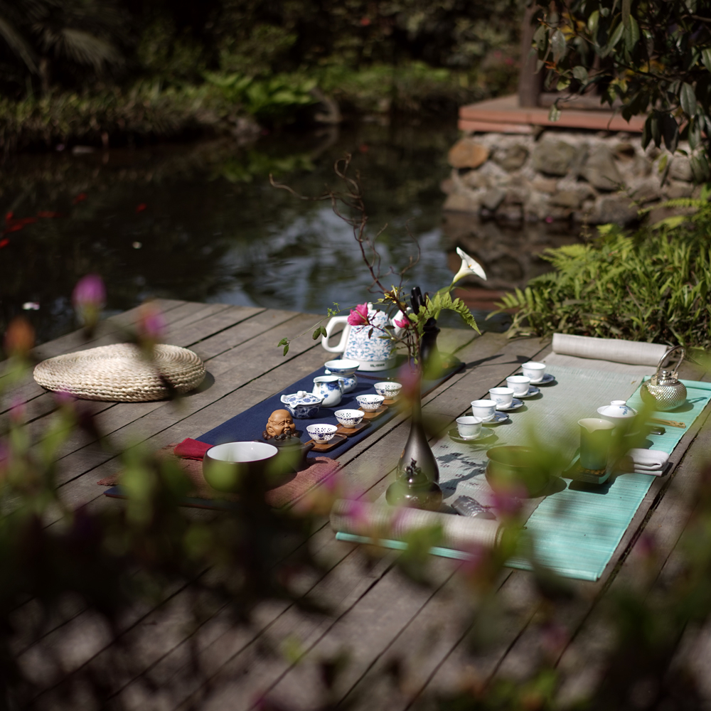 EMEI YA JIAN PEST.FREE