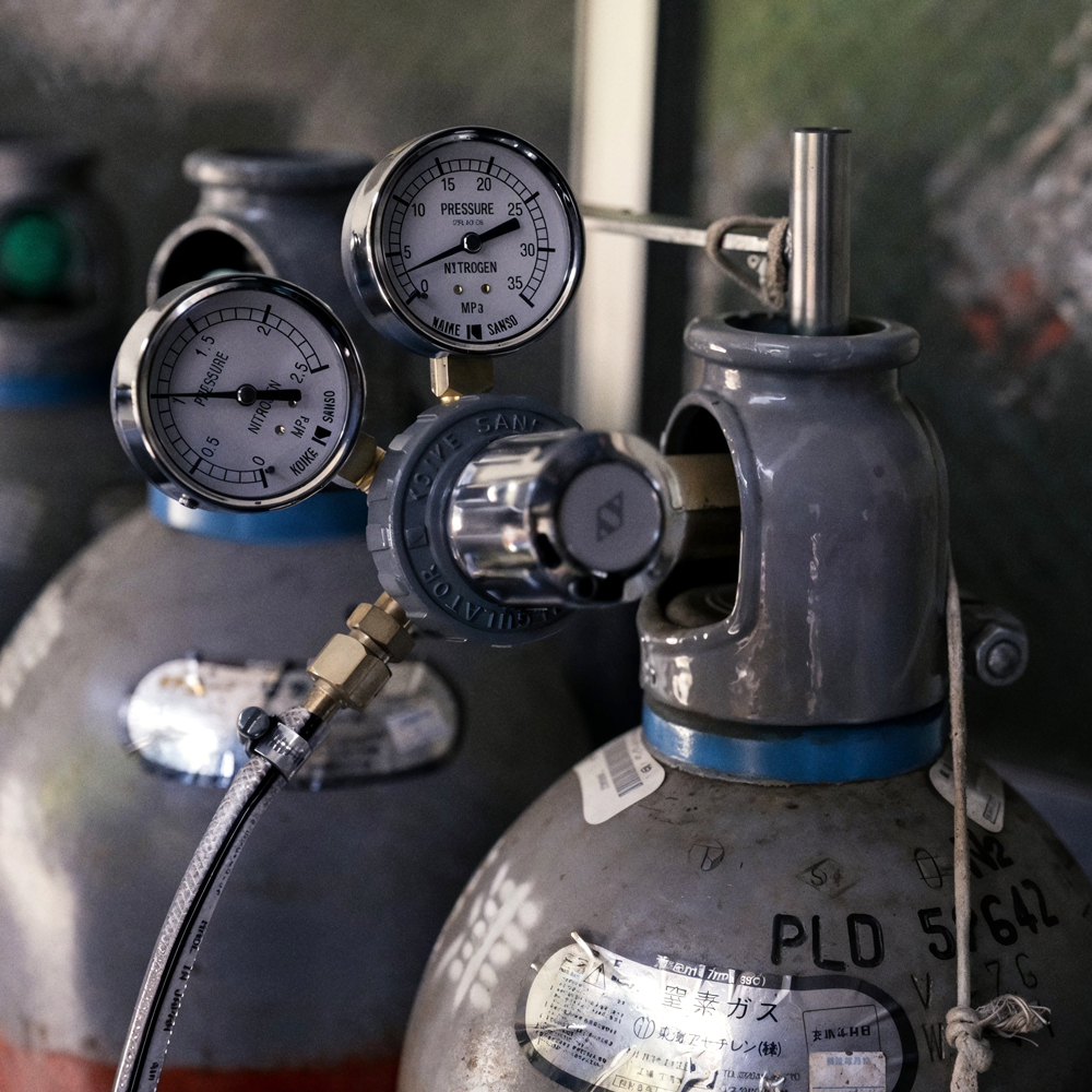 GABA Gyokuro Yabukita Bio