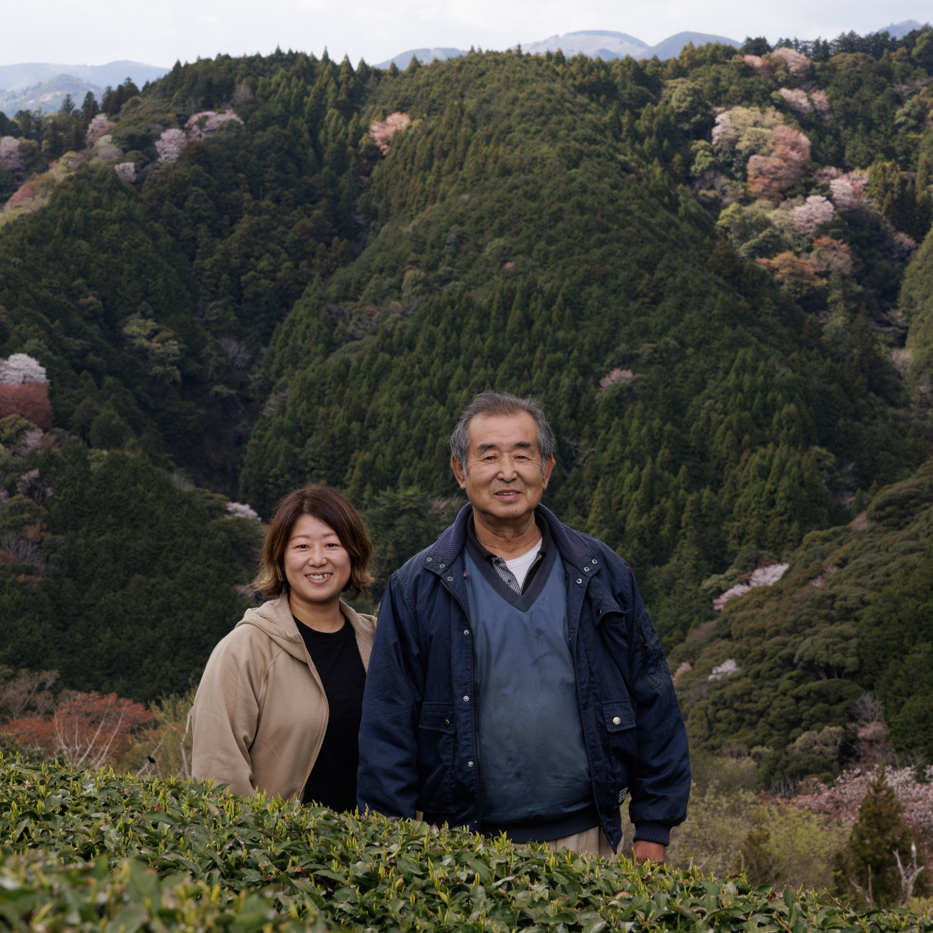 88 Ya no Shincha Honyama 2026 Bio