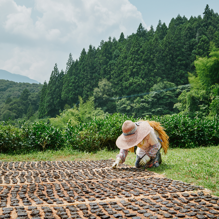 Goishicha 2022 P.Free Goishicha 2022 P.Free