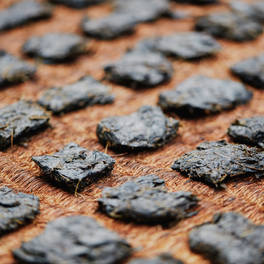 Goishicha 2023 Pest.Free