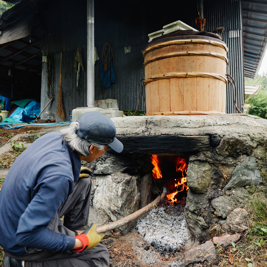 Goishicha 2023 Pest.Free