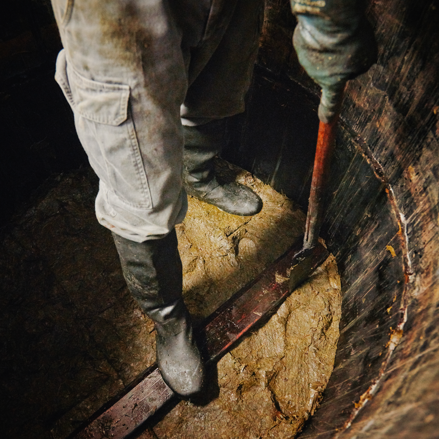 Goishicha 2023 Pest.Free