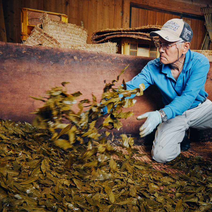 Goishicha 2023 P.Free