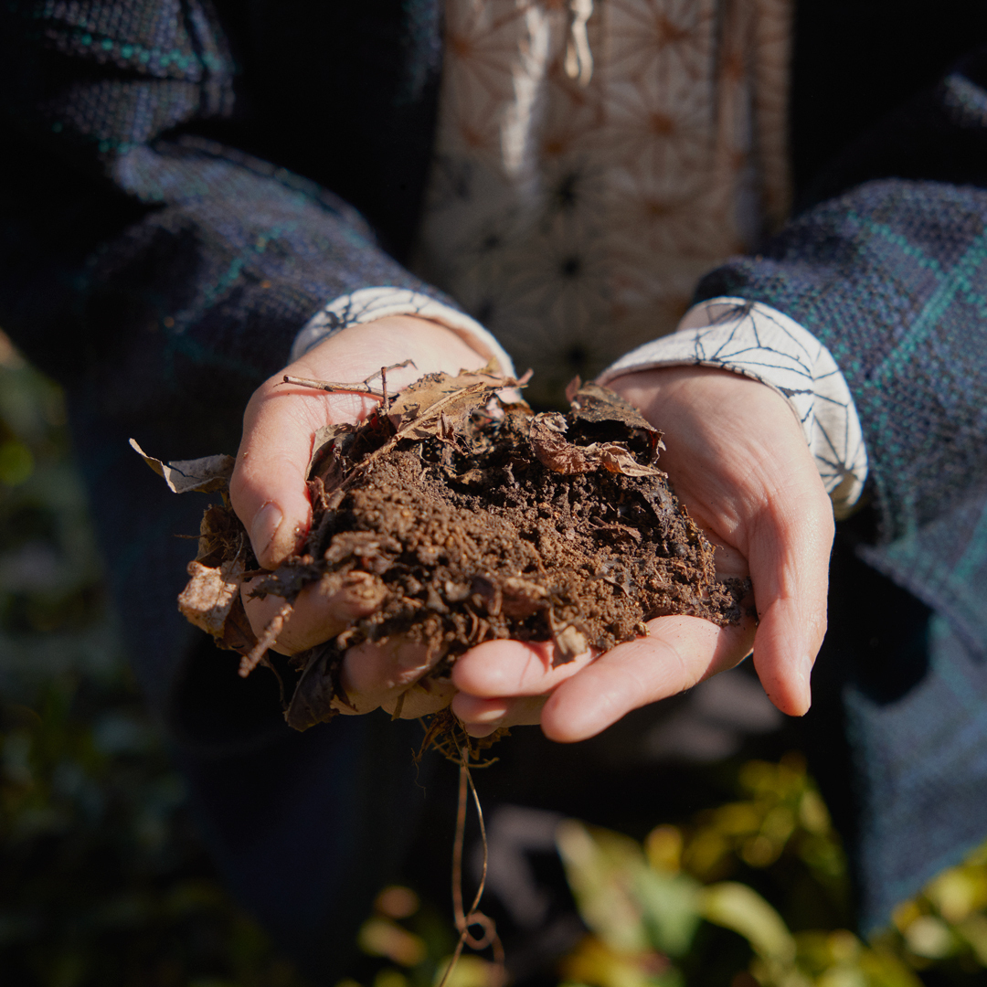 Haru Bancha Yamato Sans.Pest