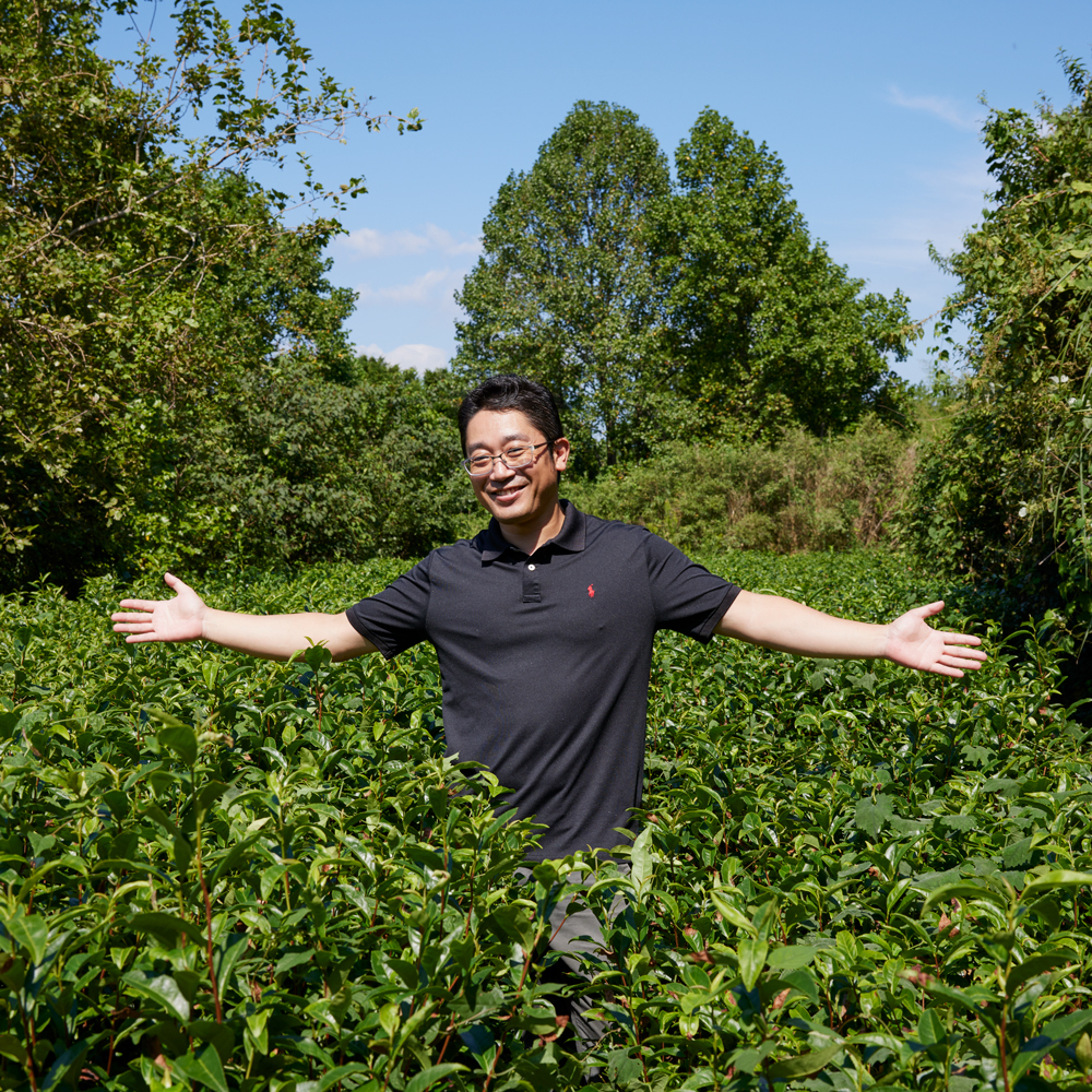 Sencha Yame Hōgetsu P. Free 