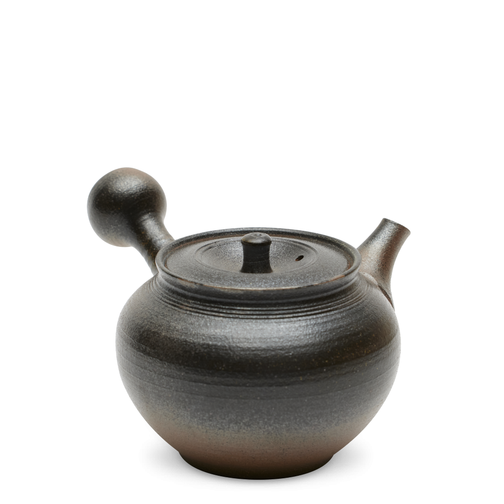 Kyusu Tokoname Hokujo Houkin
