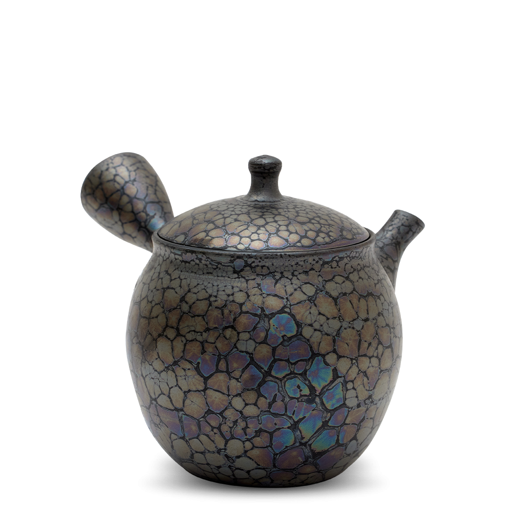 Kyusu Tokoname Shoryu Tenmoku