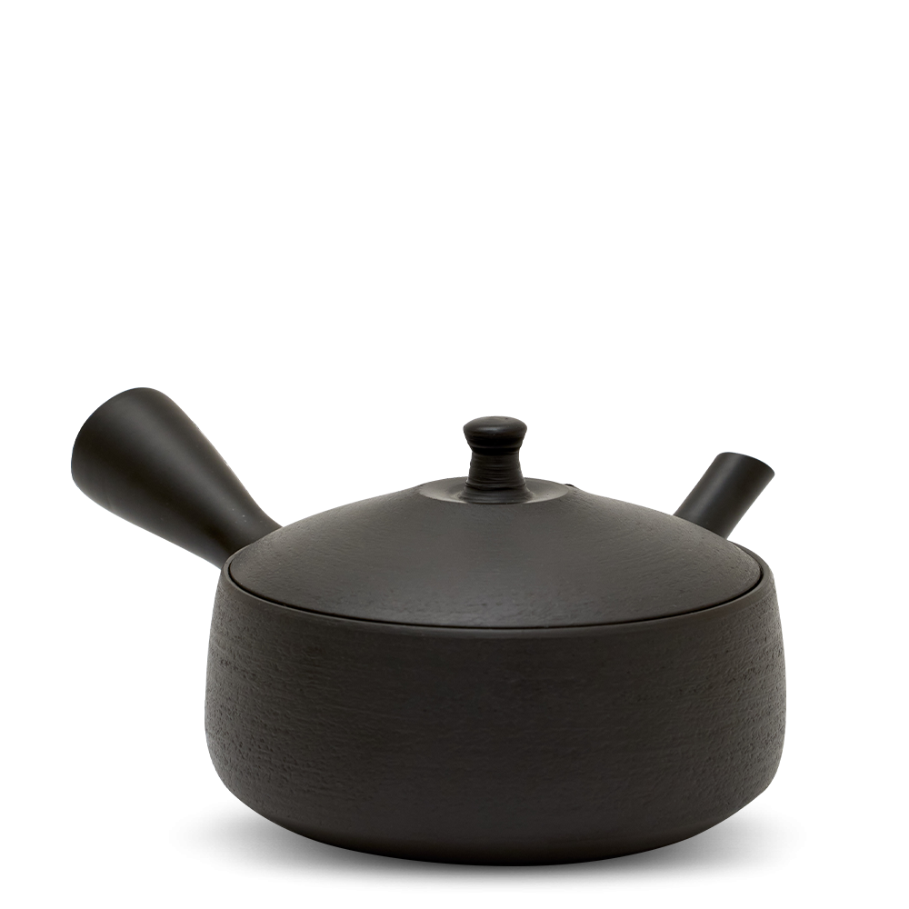 Kyusu Tokoname Hokuryu Hira Kuro