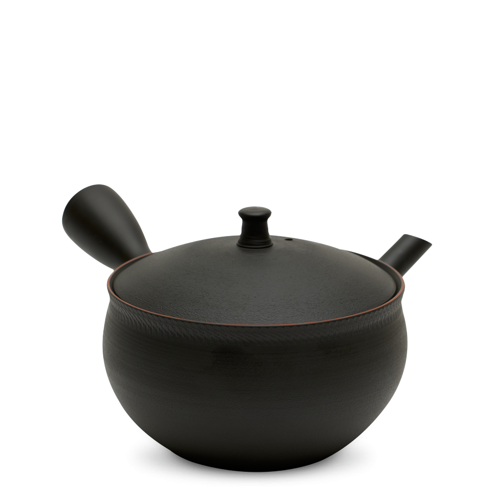 Kyusu Tokoname Hokuryu Namikage