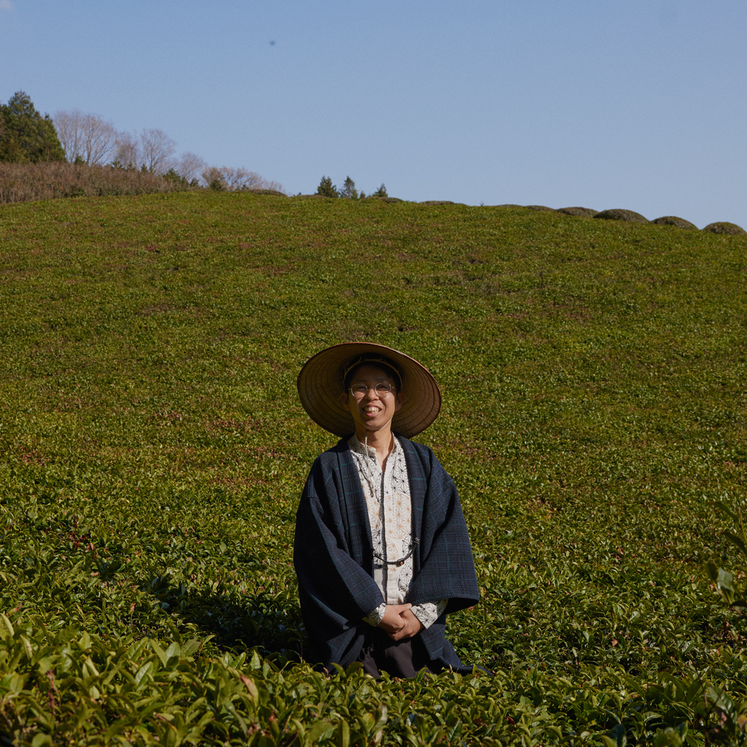 Sencha Nara Yamato Pest free 