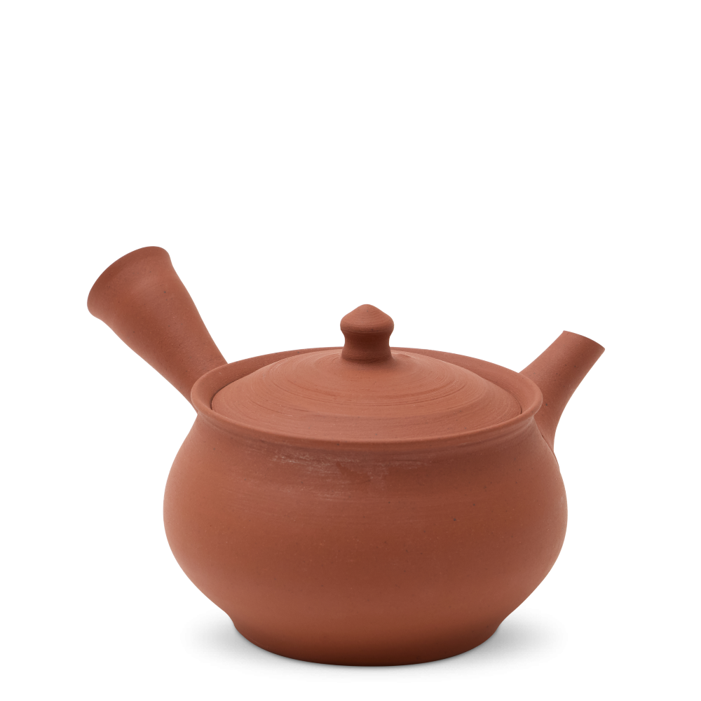 Kyusu Tokoname Tanikawa Jin Honshudei