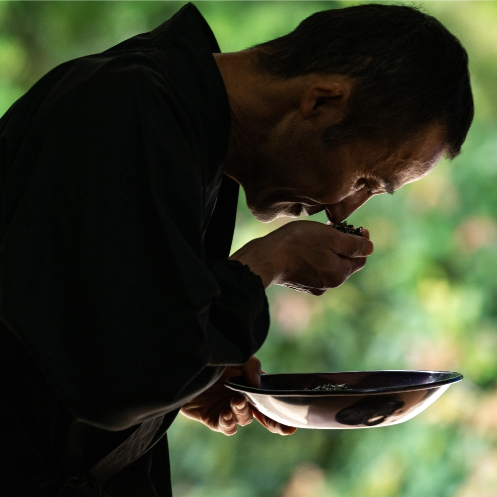 Benifuuki Ichibancha en poudre sans pesticides