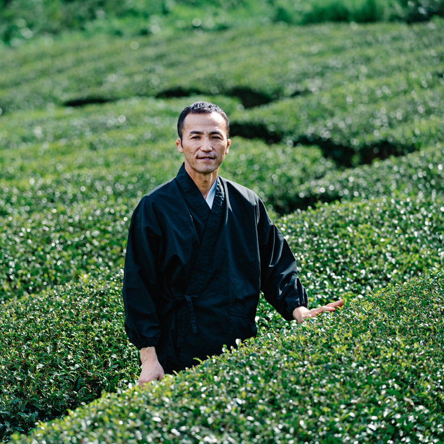 Tamaryokucha Kabuse Ureshino Pesticide Free