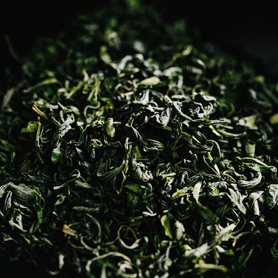 Tamaryokucha Ureshino Sans Pesticides