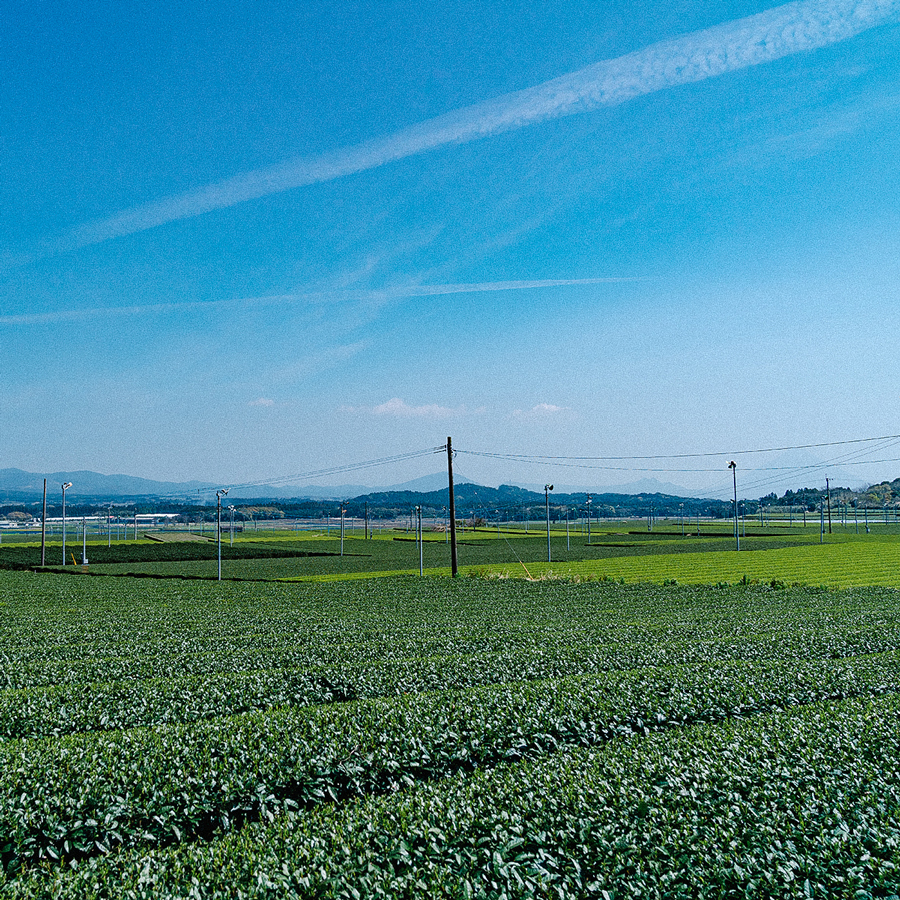 Coffret Genmaicha Chiran bio