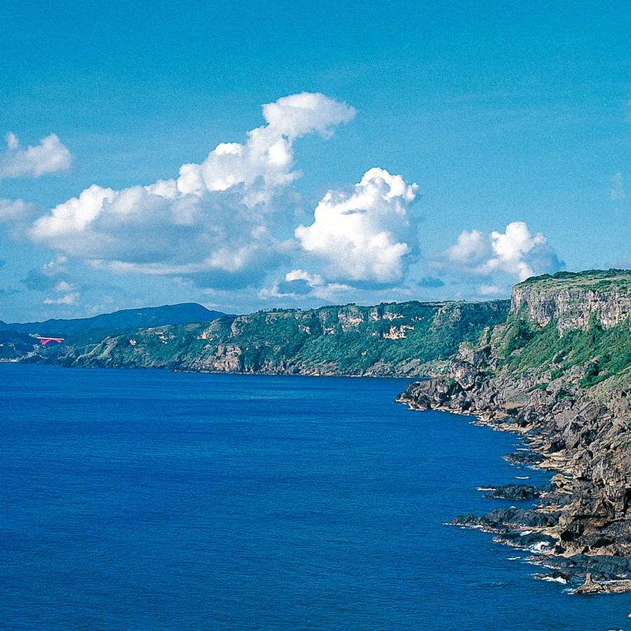 Sachets de thé Benifuuki Ichibancha Asamushi Sachets de thé Benifuuki Ichibancha Asamushi