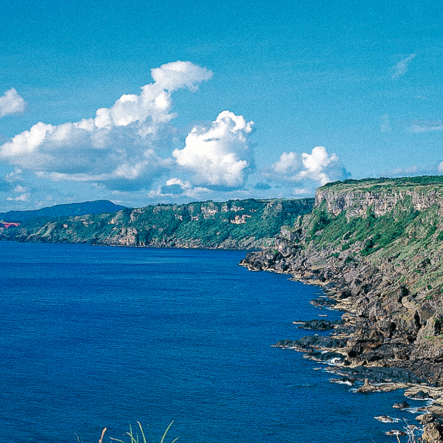Sachets de thé Benifuuki Ichibancha Asamushi Sachets de thé Benifuuki Ichibancha Asamushi