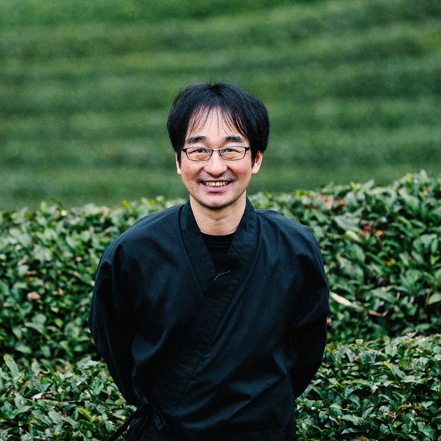 Kamairicha Gokase Okuyutaka bio Kamairicha Gokase Okuyutaka bio