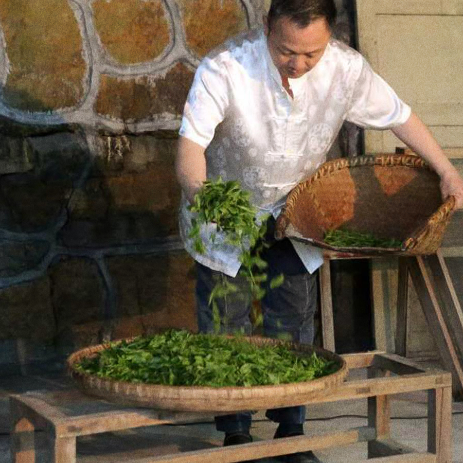 En Shi Yu Lu Premium Sans Pest.