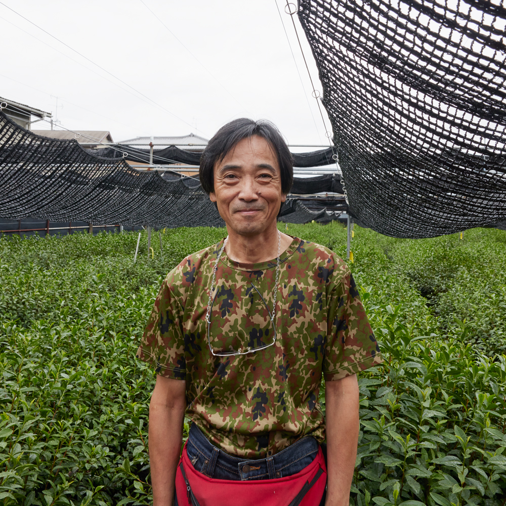 Matcha Tea Rikyū Organic