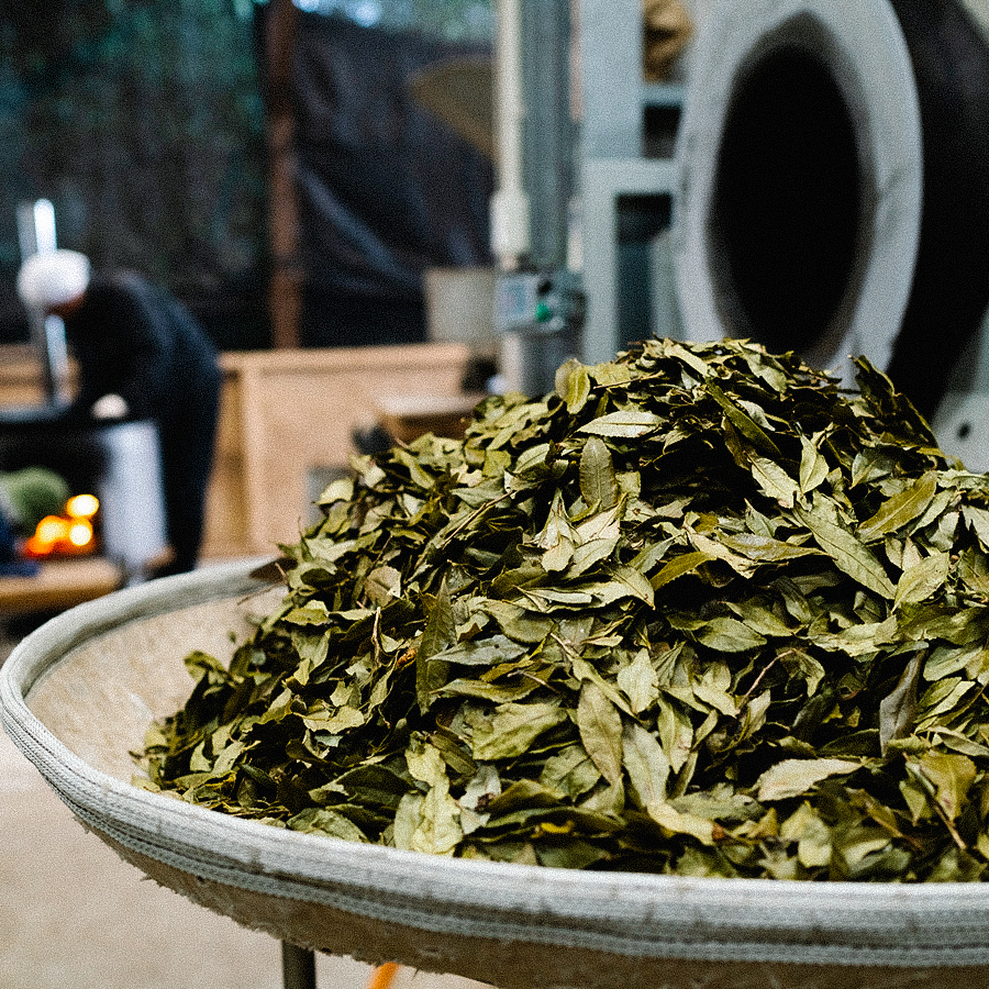 Kamairicha gingembre et Tulsi sans pesticides