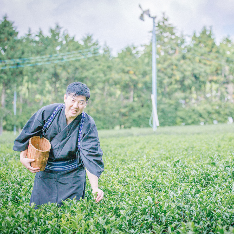 Tencha Tea Ishikawa Organic Tencha Tea Ishikawa Organic