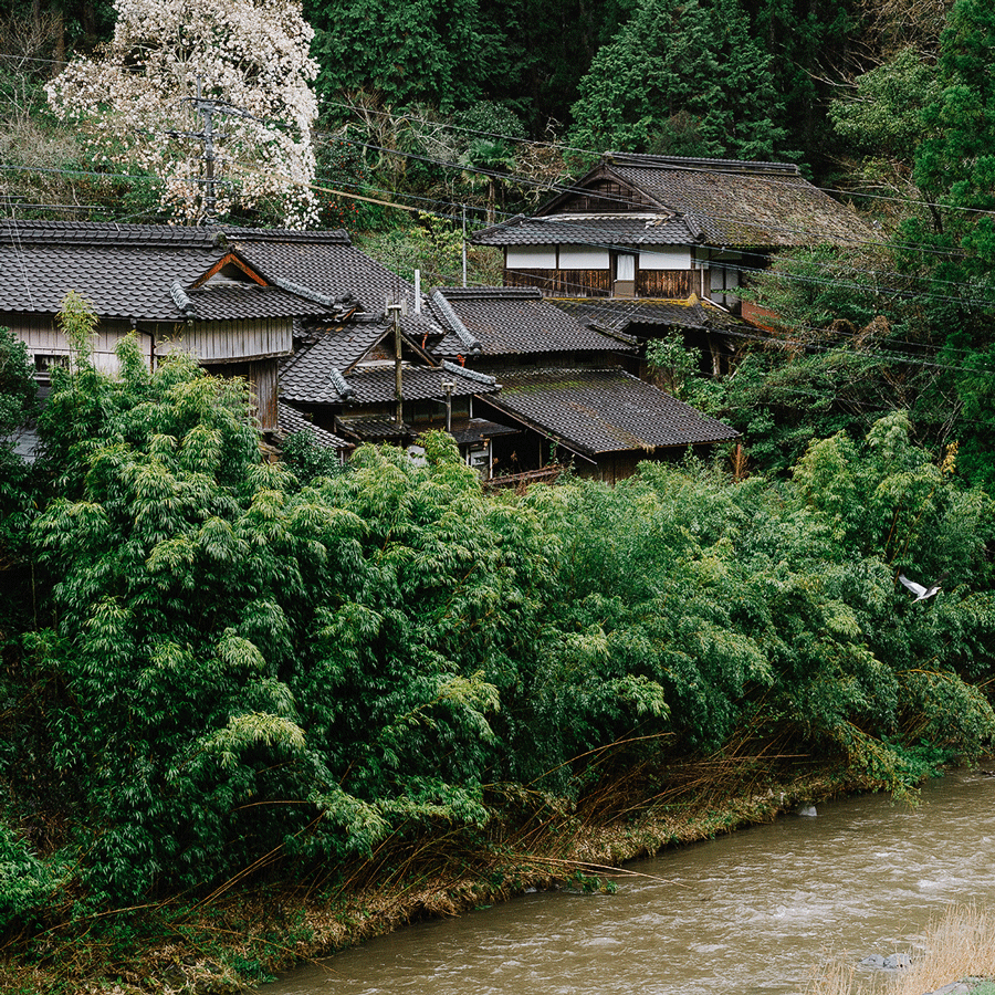 Fukamushi Sencha Niikawa Yamakai Bio Fukamushi Sencha Niikawa Yamakai Bio