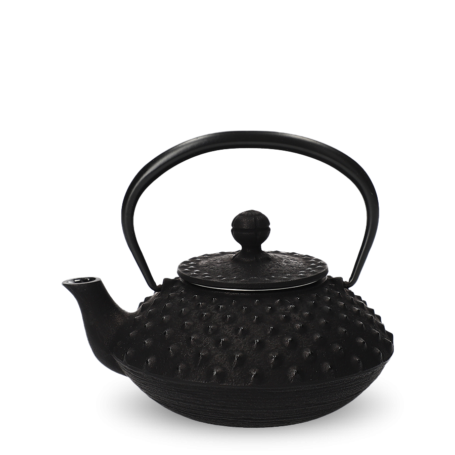 Iwachu Tetsu-Kyusu Black Hira Arare Iwachu Tetsu-Kyusu Black Hira Arare