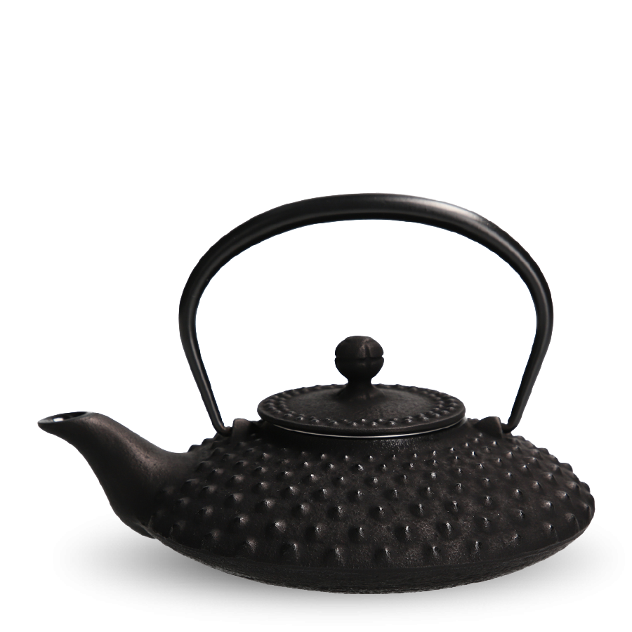 Iwachu Tetsu-Kyusu Kambin Schwarz S