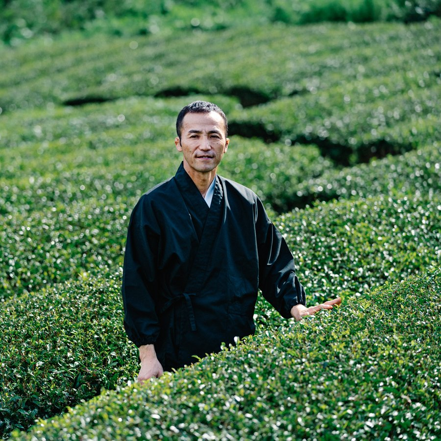 Tamaryokucha Ureshino Saemidori sans pesticides Tamaryokucha Ureshino Saemidori sans pesticides