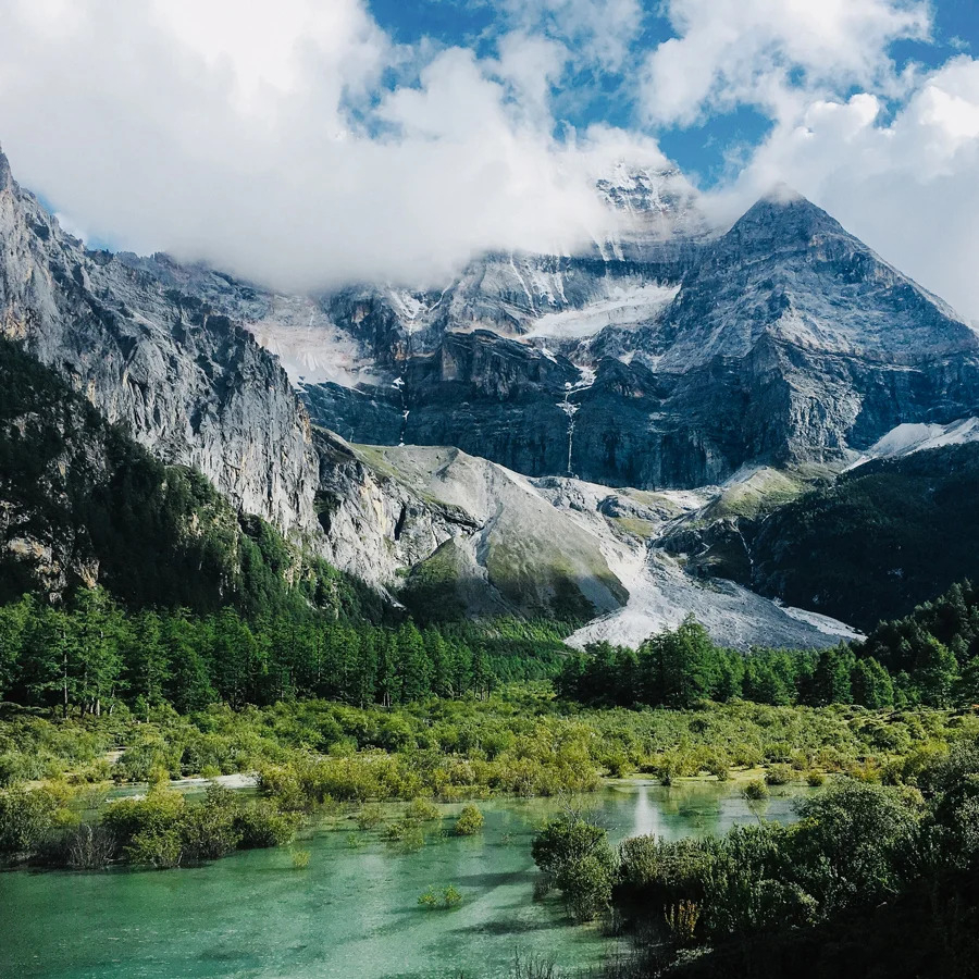 Lao Ying Super Premium sans pesticides Lao Ying Super Premium sans pesticides