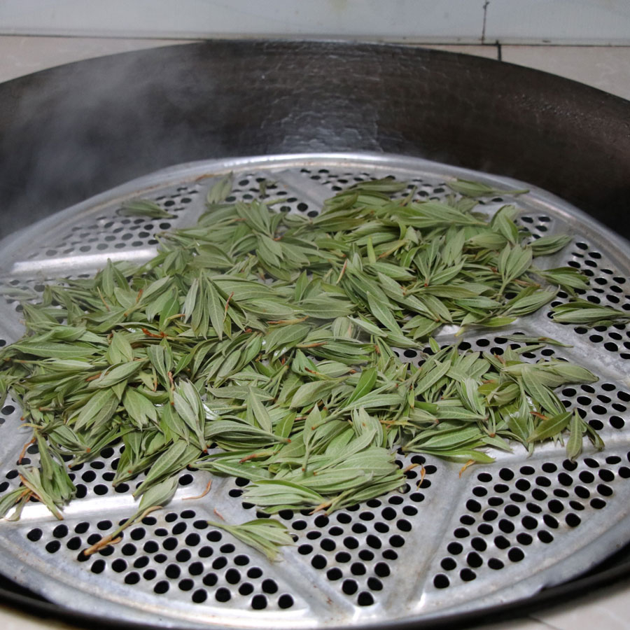 Lao Ying Super Premium sans pesticides Lao Ying Super Premium sans pesticides