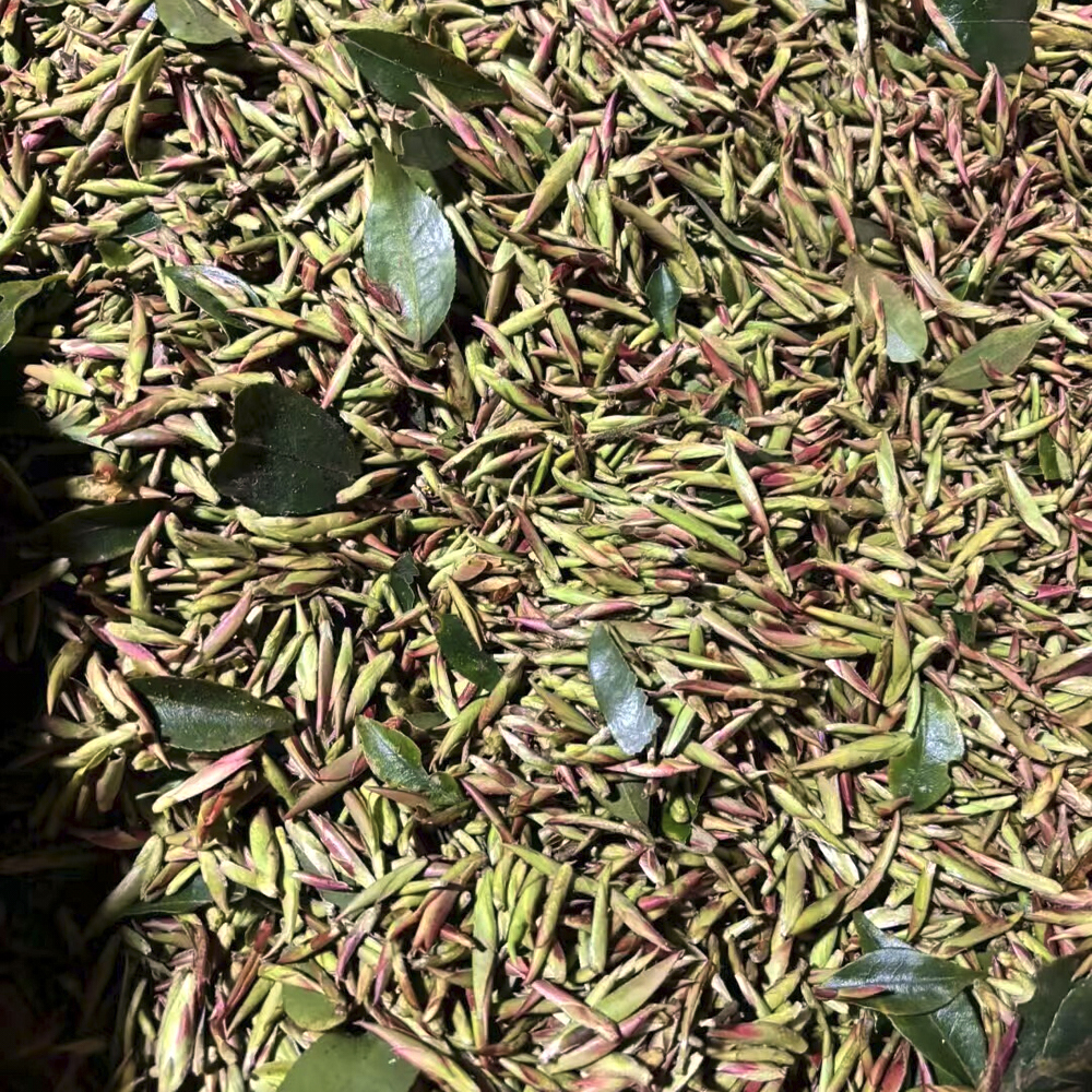 Ya Bao Purple Highest Grade White Tea, Yunnan