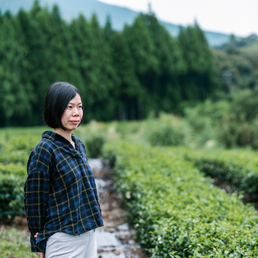 GABA 330 Kinezuka Tea GABA 330 Kinezuka Tea