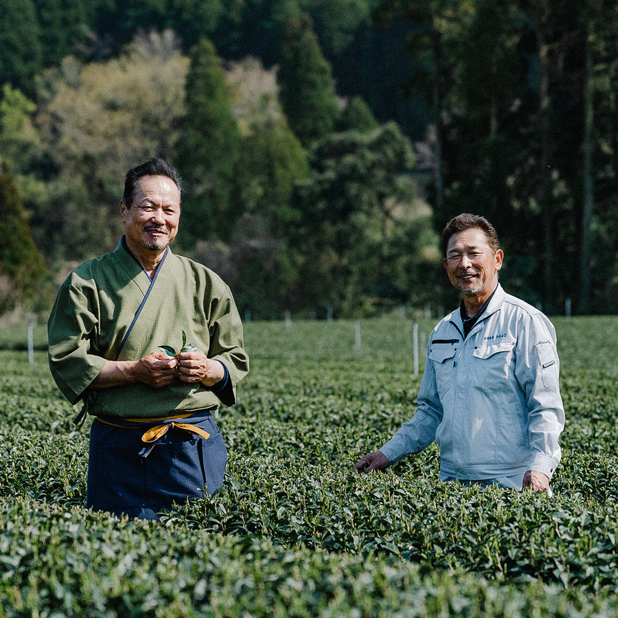 Gyokuro Shibushi Bio