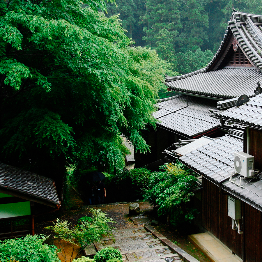 Fouet à Matcha Mushanokōjisenke Kuro Kankyūan
