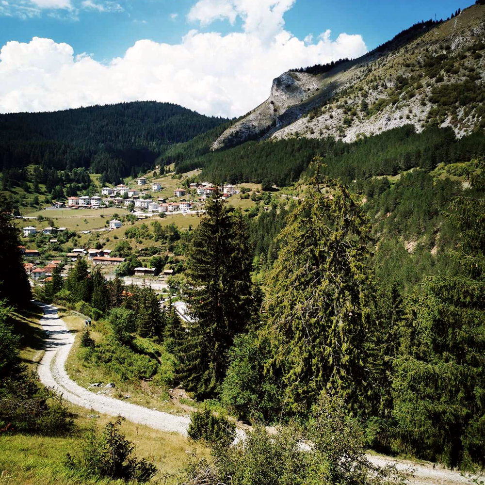 Mursalski Bergteemischung Mursalski Bergteemischung