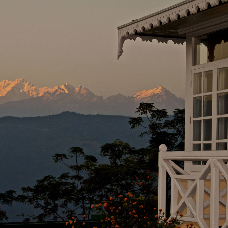 White Darjeeling Glenburn Moonshine First Flush