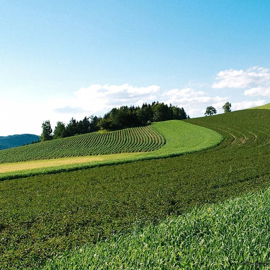 Phyto Activate Ly Phyto Activate Ly