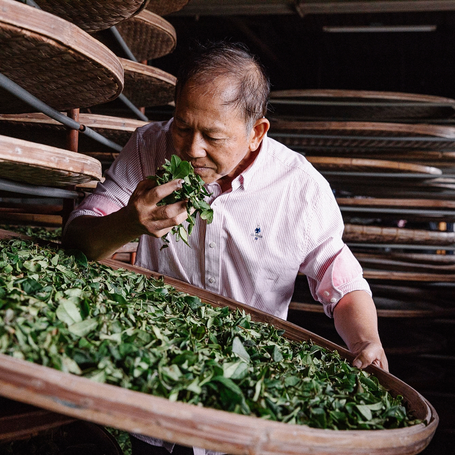 RED OOLONG  YING XIANG PEST.FREE