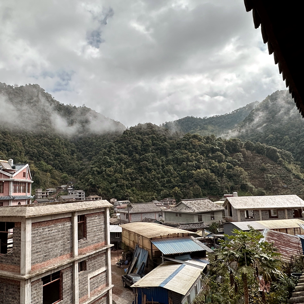 Gu Shu Gua Feng Zhai 2021 Pu Erh  Gu Shu Gua Feng Zhai 2021 Pu Erh